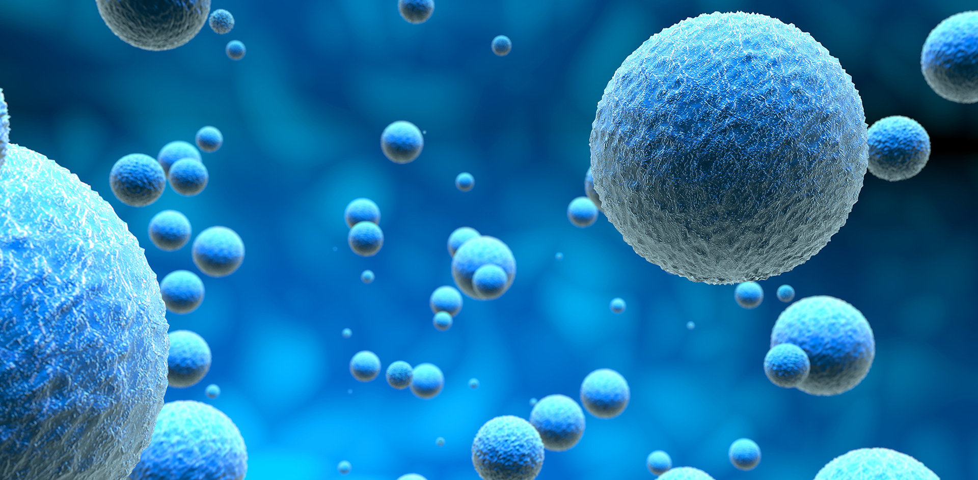 spheroidsandorganoids