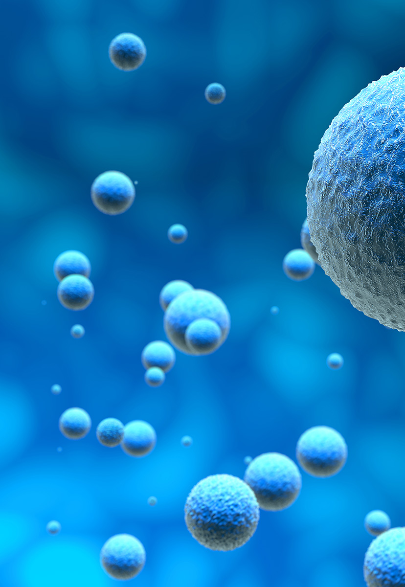spheroidsandorganoids