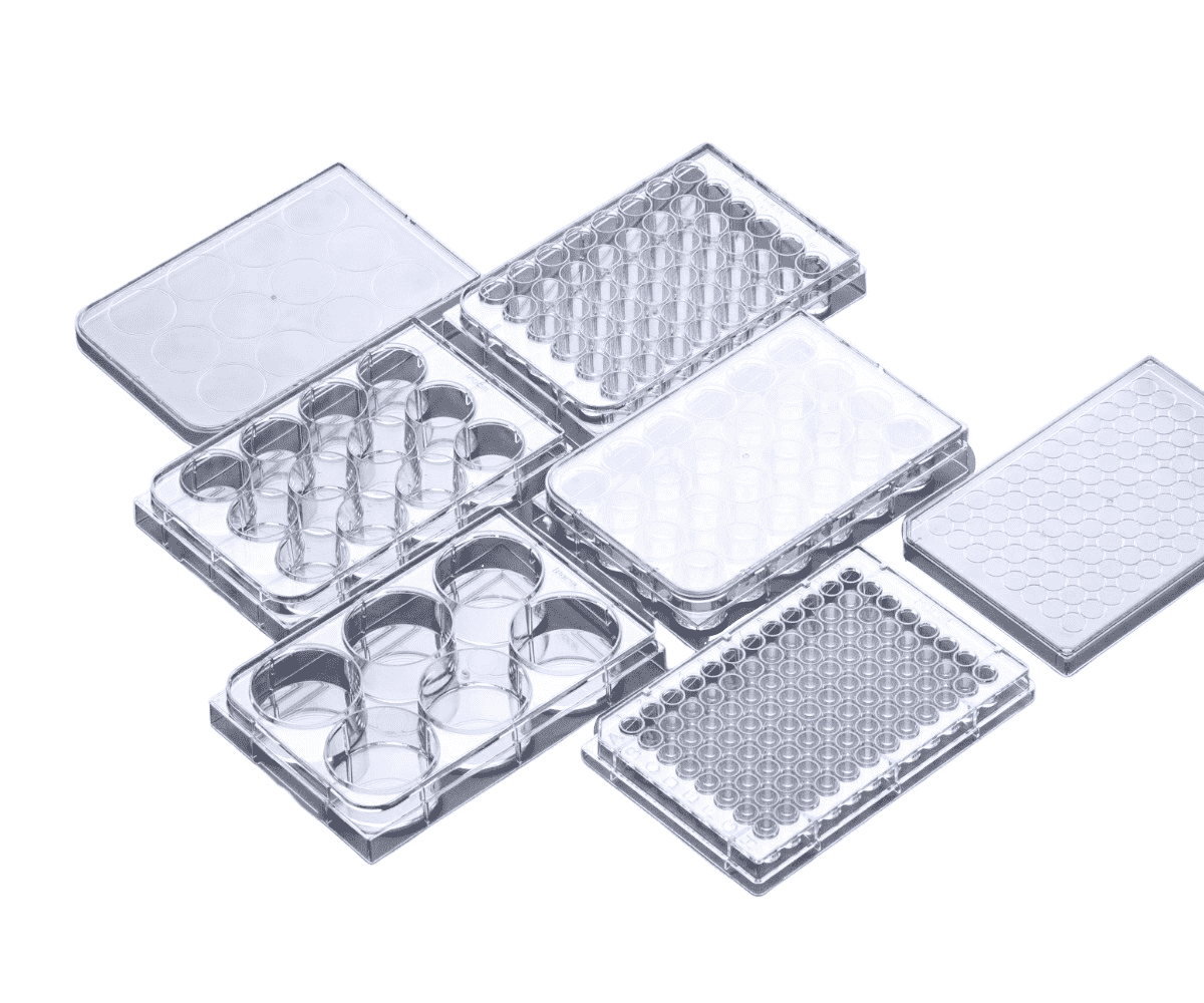 Multi-Well Cell Culture Plates, immagine 1